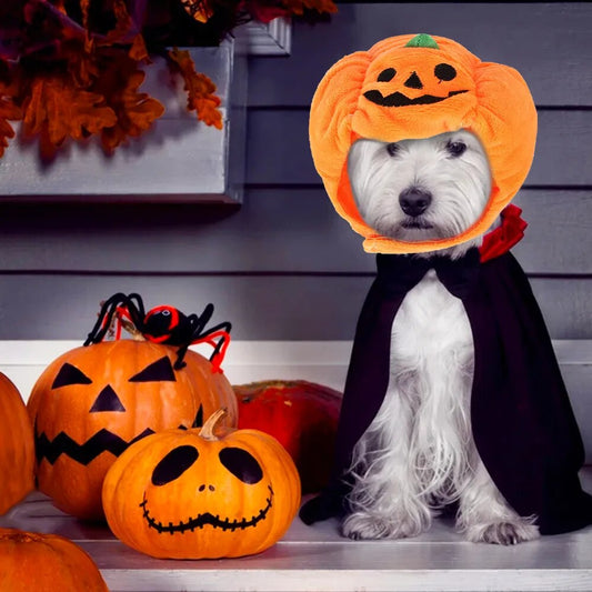 Halloween Pumpkin Head Costume