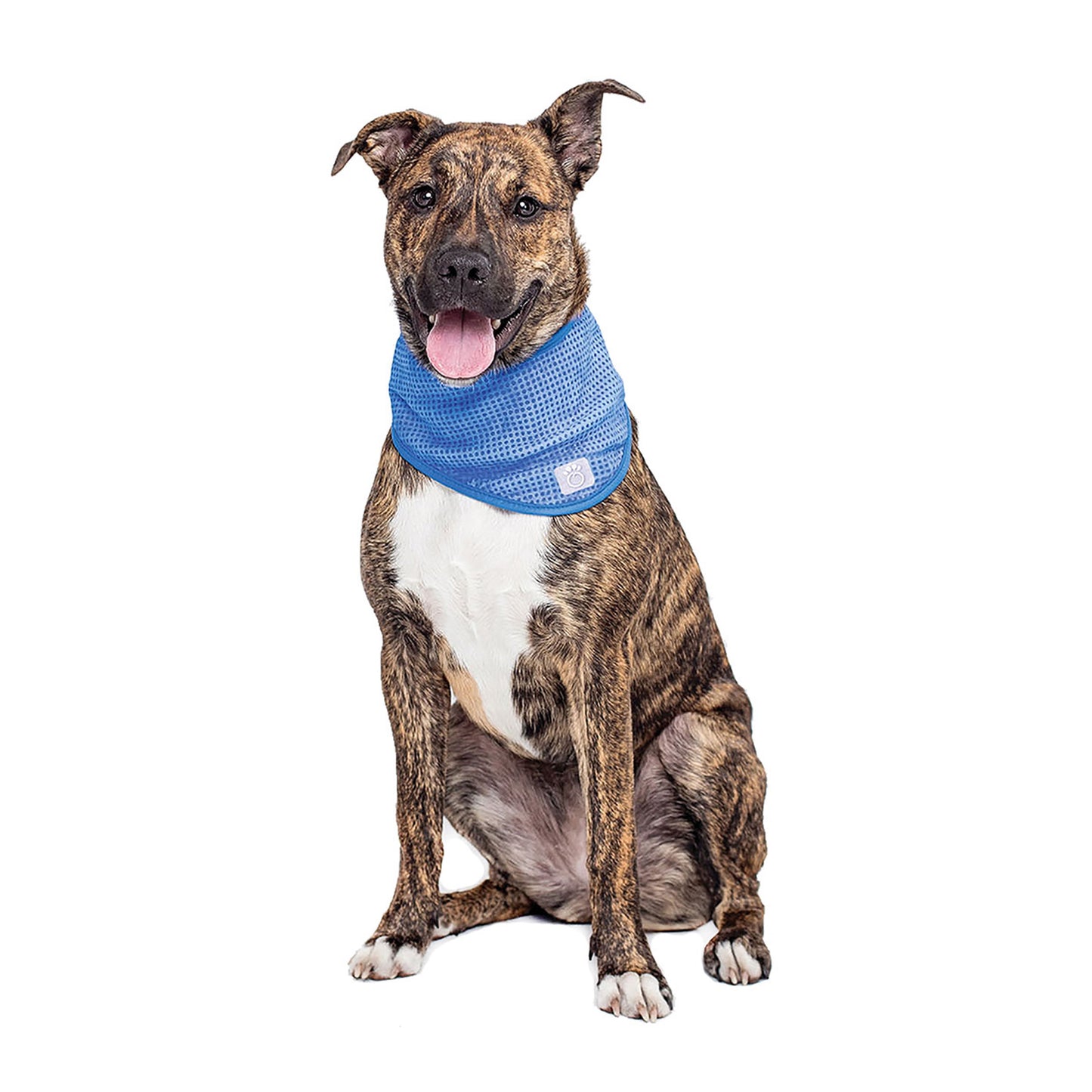 ICE BAND - Dog Cooling Bandana