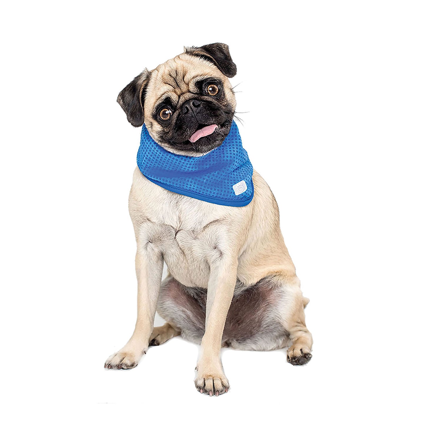 ICE BAND - Dog Cooling Bandana