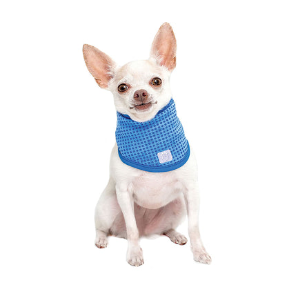 ICE BAND - Dog Cooling Bandana