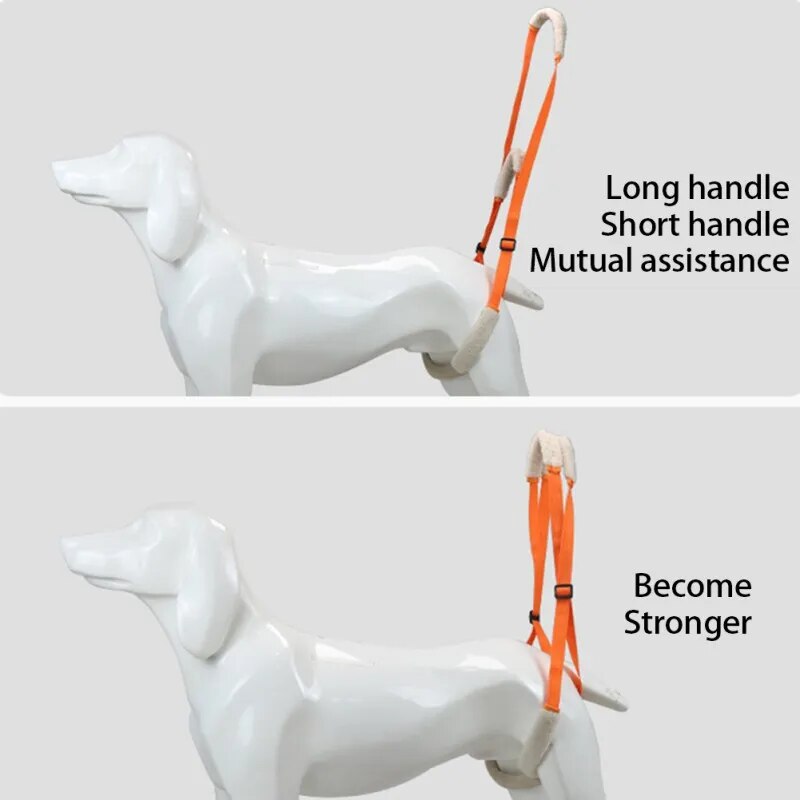 Pet Rear Legs Support Aid Sling Pet Dog Lift Harness For Elderly Dog With Poor Stability Back Leg Hip Disabled Joint Injury