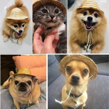 Fashion Pet Hat for Dog and Cat Costume Accessories