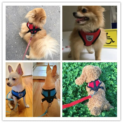 Adjustable Harness Polyester Mesh Soft Breathable Vest Walking Lead Leash For Small Medium Dog Cats Pet Easy Control