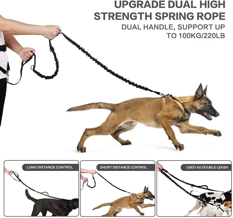 Walking Pet Treat Bag Fanny Pack Hands-Free Bungee Leash