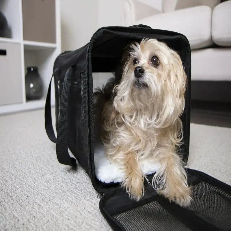 Explorer Travel Pet Carrier, Airline Approved & Guaranteed On Board