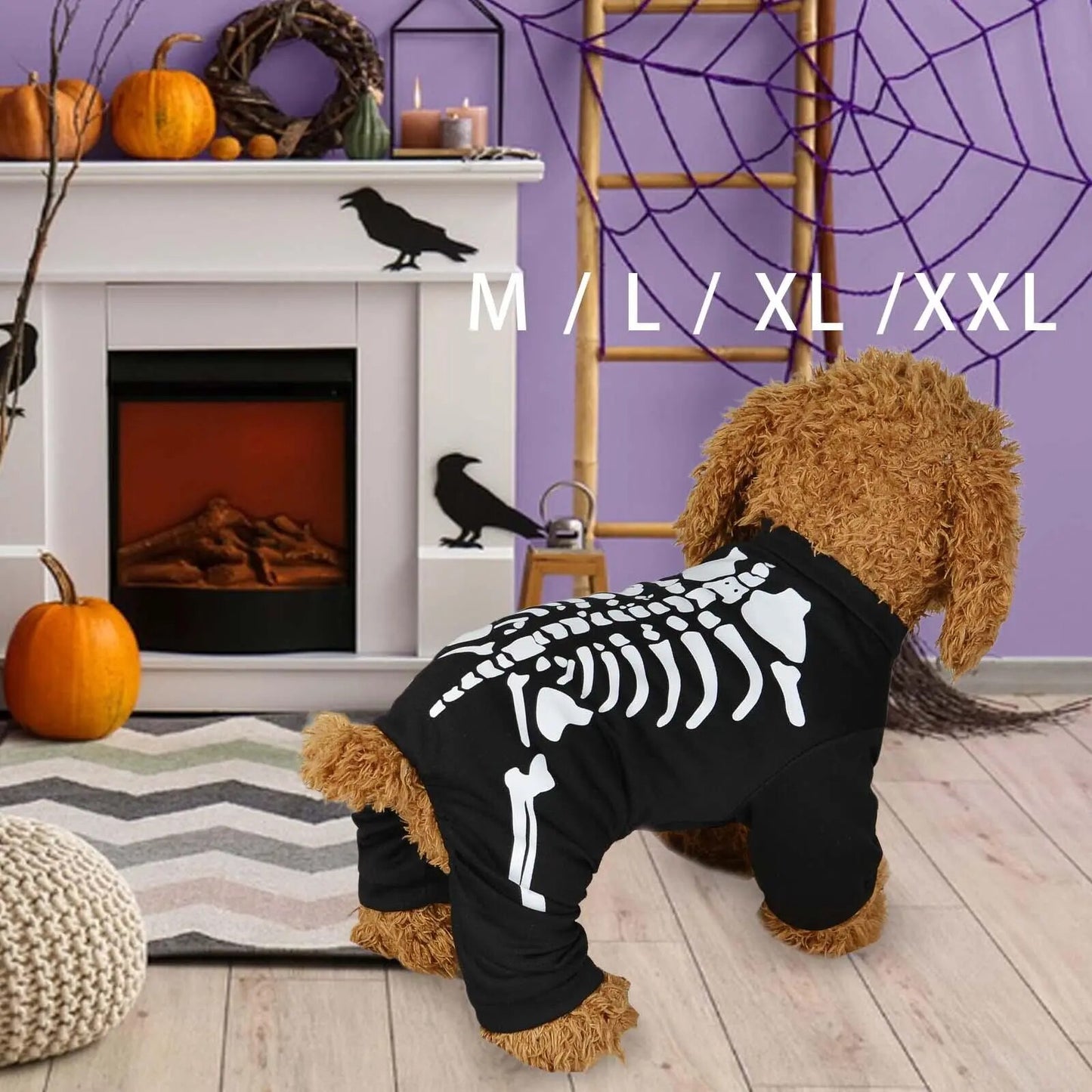 Halloween Skeleton Dog Costume for Dogs & Cats