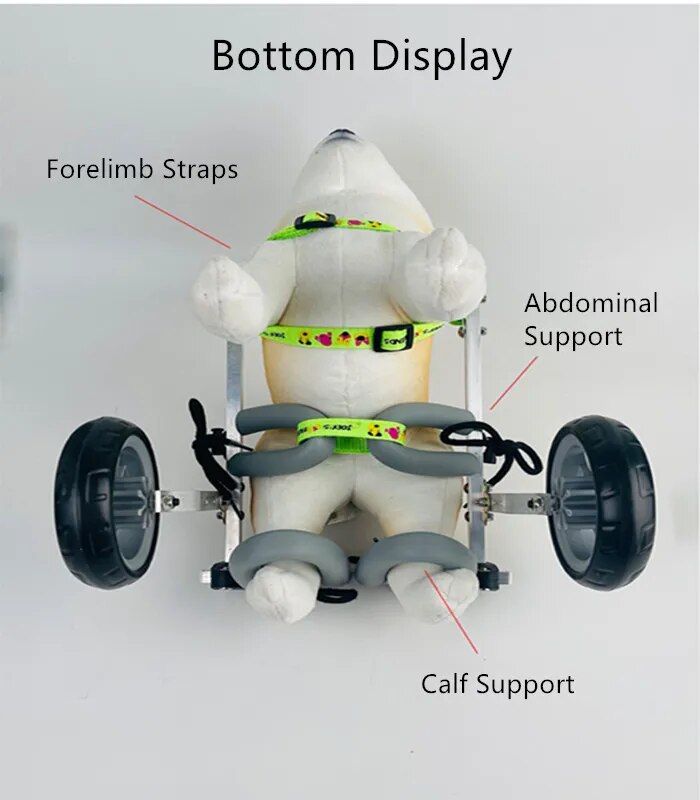 Disabled pet Wheelchair Adjustable Hindlimb Walker Elderly pet Forelimb Paralysis Aid Wheelchair Hind Legs&nbsp;pet Walker