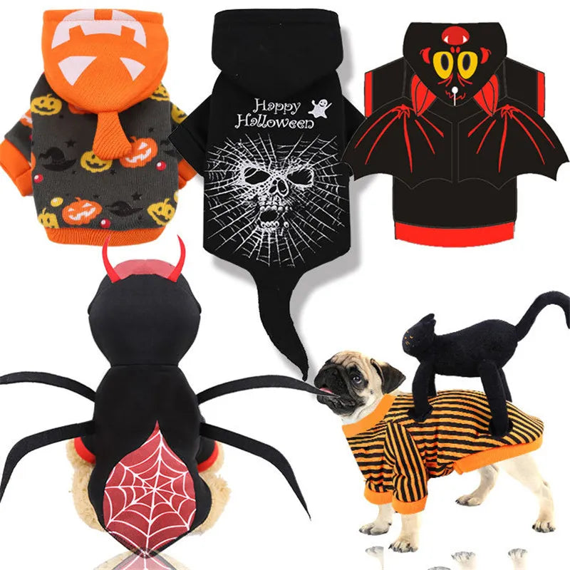 Halloween Funny Pet Costume